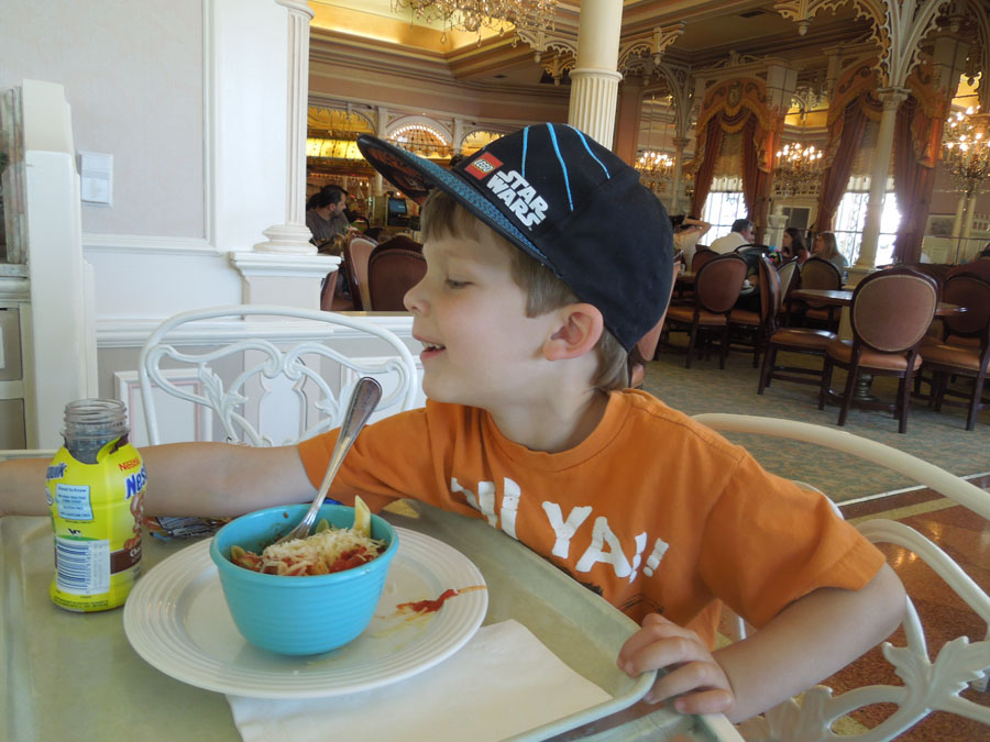 Disneyland Plaza Inn Picture